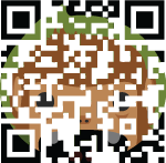 Traditional QR Code